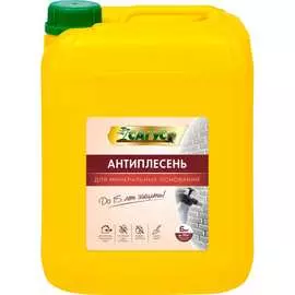 Антиплесень для минеральных оснований САГУС А 0487