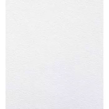 Антивандальные обои АРТЕКС 55053А