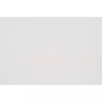 Антивандальные обои АРТЕКС Крошка 55007А