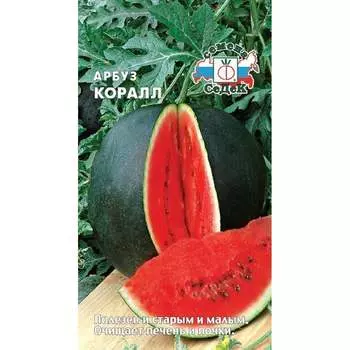Арбуз СеДек Коралл ( ультраранний, ОГ/ПУ,плод 2-3 кг, кора тонкая, мякоть красная, сладкая, сочная, зернистая, д 16435