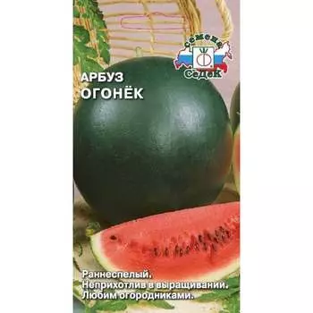 Арбуз СеДек Огонек ( ран.спелый, ОГ, плод 1,7-2,3 кг, мякоть оранж.-красн., нежная, сочная, сладкая, для употр.в 14653