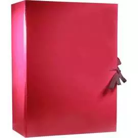 Архивная папка Attache 1472043