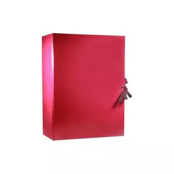 Архивная папка Attache 1472044