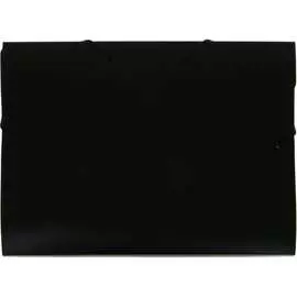 Архивная папка-короб Calligrata 6926784