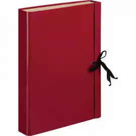 Архивная складная папка Attache 393566