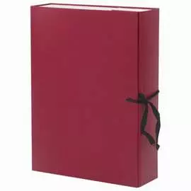 Архивный короб BRAUBERG 122036