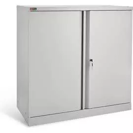 Архивный шкаф Диком