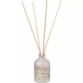 Ароматический диффузор Breesal Aroma Sphere Свежесть чувств ARD/002