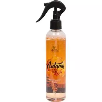 Ароматизатор воздуха Прохим CG8129