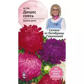 Астра семена ОКТЯБРИНА ГАНИЧКИНА Дюшес 119084