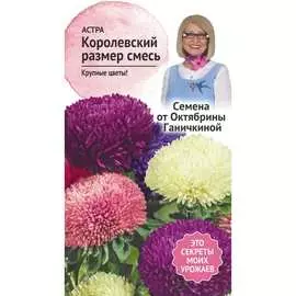 Астра семена ОКТЯБРИНА ГАНИЧКИНА Королевский размер 119085