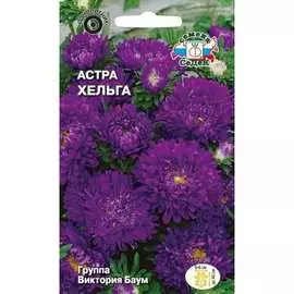 Астра семена СеДек