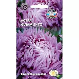 Астра семена СеДек