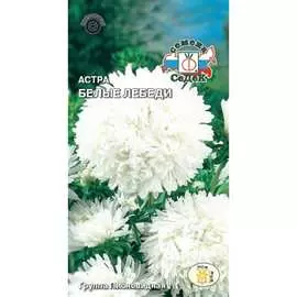 Астра семена СеДек