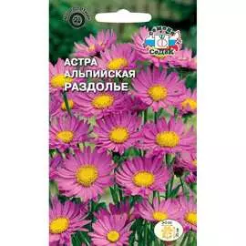 Астра семена СеДек