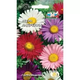 Астра семена СеДек