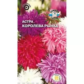 Астра семена СеДек