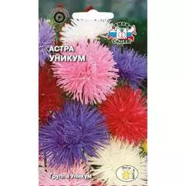 Астра семена СеДек