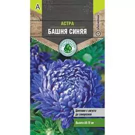 Астра семена Тимирязевский питомник