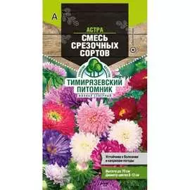 Астра семена Тимирязевский питомник