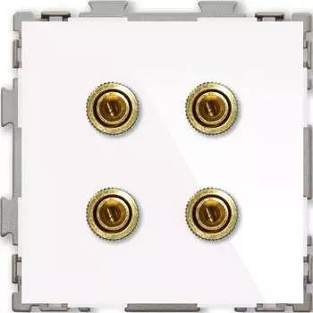 Аудио розетка CGSS Практика PL-W201A-WCG