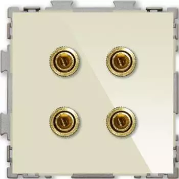 Аудио розетка CGSS Практика PL-W201A-BGG