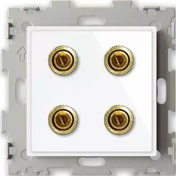 Аудио розетка CGSS Эстетика GL-W201A-WCG