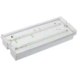 Аварийный светильник IEK ДПА 5042-3 LDPA0-5042-3-65-K01