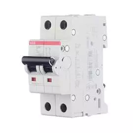 Автоматический двухполюсный выключатель abb 50а с s202 6ка 2cds252001r0504