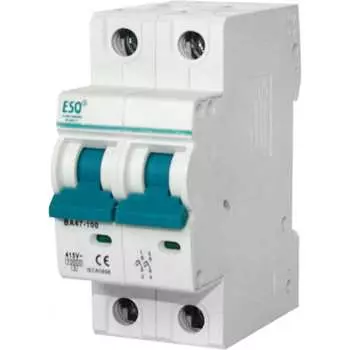 Автоматический выключатель ESQ ВА 47-100 14.03.03.000020