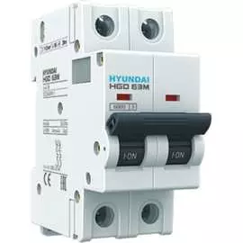 Автоматический выключатель Hyundai HGD63-M 13.04.000874