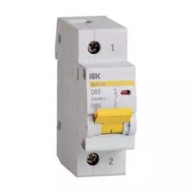 Автоматический выключатель IEK ВА47-100 MVA40-1-063-D