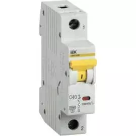 Автоматический выключатель IEK ВА47-60M MVA31-1-040-C