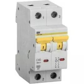 Автоматический выключатель IEK ВА47-60M MVA31-2-040-C