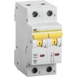 Автоматический выключатель IEK ВА47-60M MVA31-2-006-B