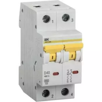 Автоматический выключатель IEK ВА47-60M MVA31-2-040-D