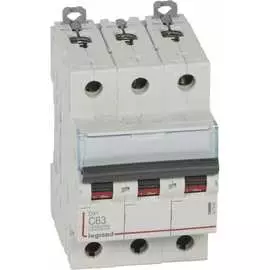 Автоматический выключатель Legrand DX3 407865