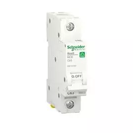 Автоматический выключатель Systeme Electric RESI9 R9F12163