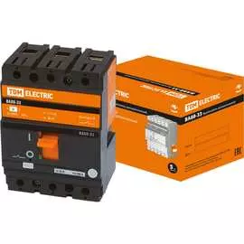 Автоматический выключатель TDM ELECTRIC ВА88-33 SQ0707-0027