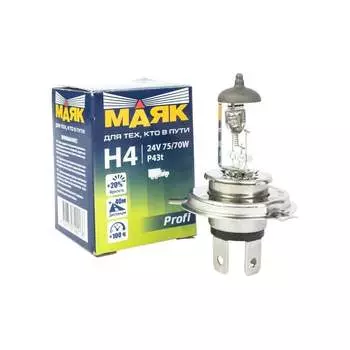 Автомобильная лампа Маяк 4660007272297 54430SW