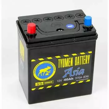 Автомобильный аккумулятор TYUMEN BATTERY TNSa40.1