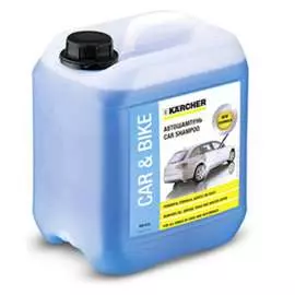 Автомобильный шампунь Karcher 6.294-029