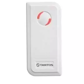 Автономный считыватель-контроллер Tantos