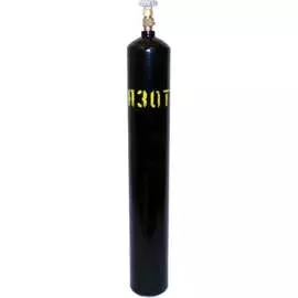 Азотный баллон Ярпожинвест 00000002611