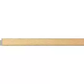 Багет Cosca Decor 102-11 СПБ019666