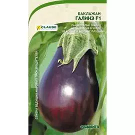 Баклажан семена Садовита