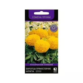Бархатцы прямостоячие Агрохолдинг ПОИСК Антигуа Еллоу 713836
