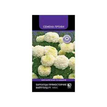 Бархатцы прямостоячие Агрохолдинг ПОИСК Вайтголд F1 Макс 832885