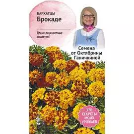 Бархатцы семена ОКТЯБРИНА ГАНИЧКИНА