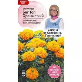 Бархатцы семена ОКТЯБРИНА ГАНИЧКИНА